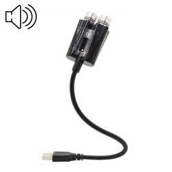 Car Two color USB Star Dome Light Atmosphere Laser Projection Decorative Light Voice Control Version Red Green