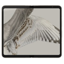 Google Pixel Fold LCD Screen Display Combo With Touch Digitizer - Black