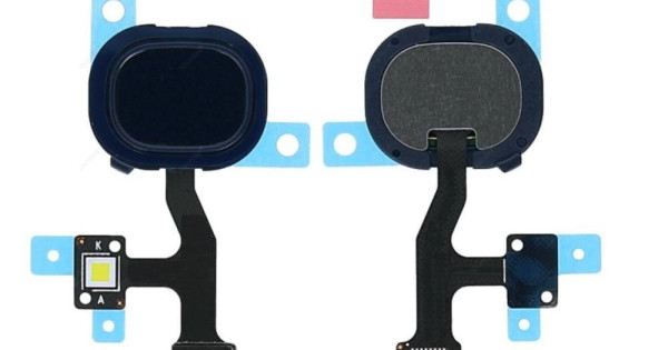 Sensor M31 FINGERPRINT SENSOR FLEX COMPATIBLE WITH SAMSUNG GALAXY M31`