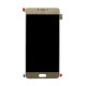 Display for Gionee S6 Pro - Gold Combo Folder